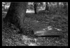 thumbs/IMG_2160.JPG.jpg