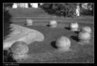thumbs/_MG_6717.JPG.jpg
