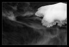 thumbs/IMG_8245.jpg.jpg