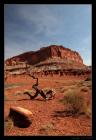 thumbs/IMG_3793.JPG.jpg
